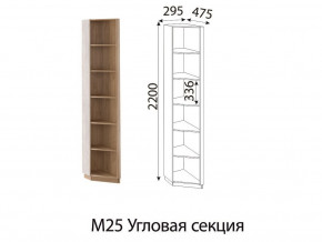 М25 Угловая секция в Нижней Туре - nizhnyaya-tura.magazinmebel.ru | фото