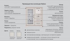 Прихожая модульная Стилиус в Нижней Туре - nizhnyaya-tura.magazinmebel.ru | фото - изображение 2